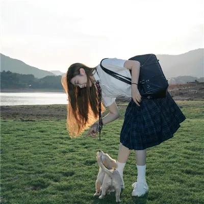 舞宫双凤